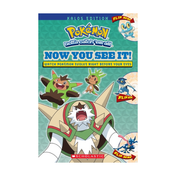 Pokemon: Now You See It! Kalos Edition